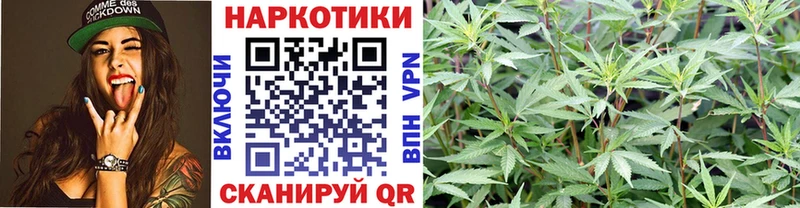 Где купить Елизаветинская COCAIN Амфетамин Меф мяу мяу Гашиш Галлюциногенные грибы Бошки Шишки