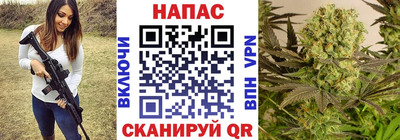 купить наркоту  Елизаветинская  блэк спрут зеркало  Канабис MAZAR 
